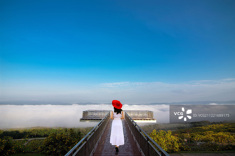 通布阿通鲜花自然景观图片素材