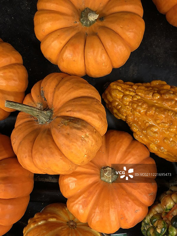慕尼黑啤酒节图片素材