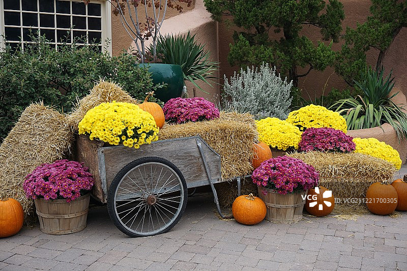 秋天的色彩图片素材