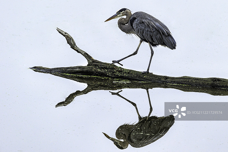 自然风光X2图片素材