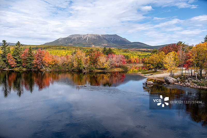 秋天湖边的树木图片素材