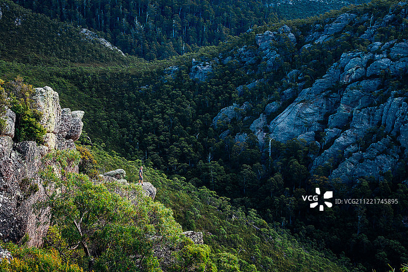 塔斯马尼亚荒野图片素材