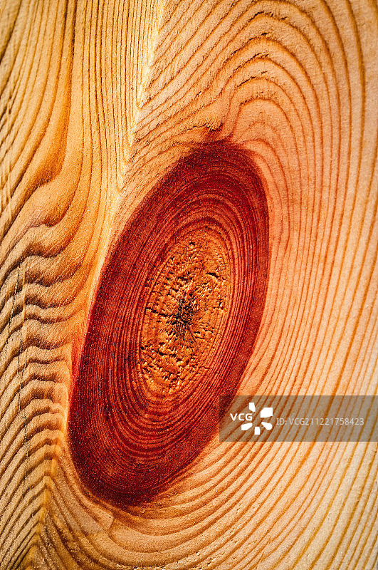 红云杉木板细节图图片素材