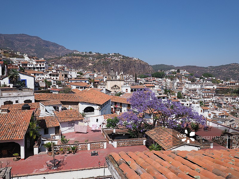 墨西哥塔斯科市的雅各兰树与城市景观图片素材