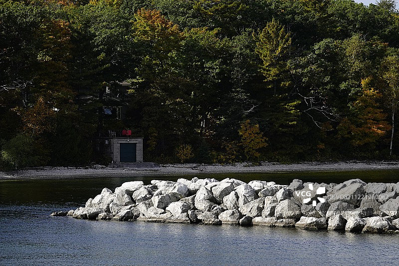 森林场景图片素材