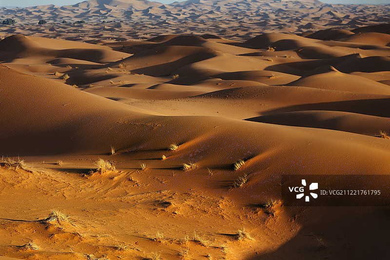 正弦波图片素材