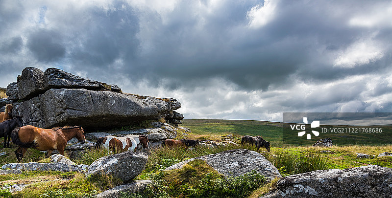 牧场上空的暴风雨云图片素材