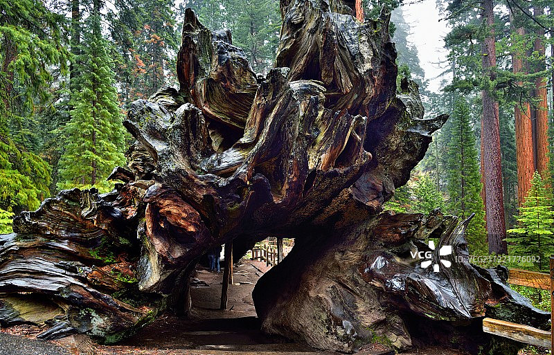 陨落的君主图片素材