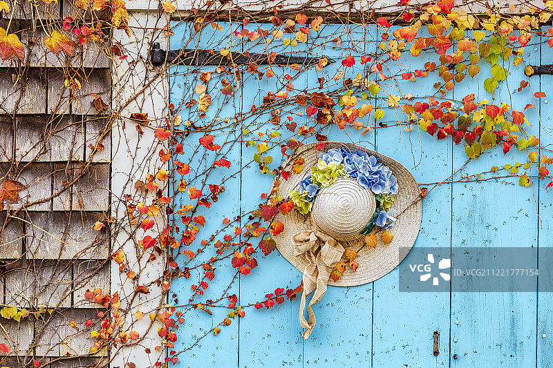 桌子上的帽子和太阳镜图片素材