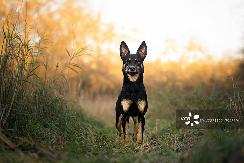 火烧云图片素材