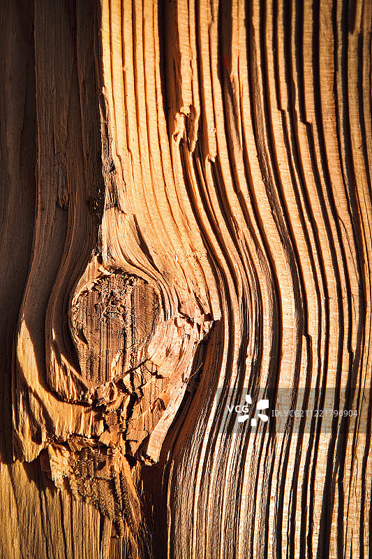 抽象的裂纹木材细节图片素材