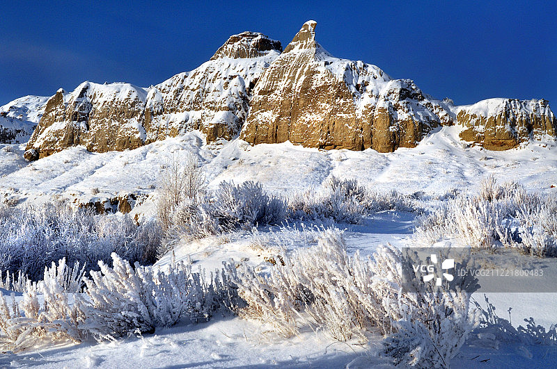 荒地冬季的早晨图片素材
