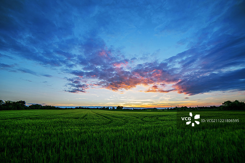 元素图案图片素材