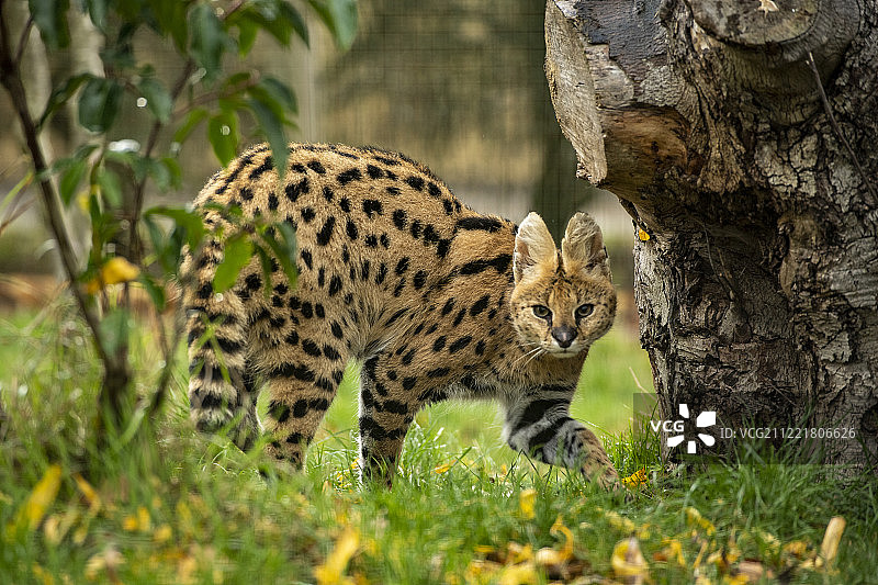 在边缘图片素材