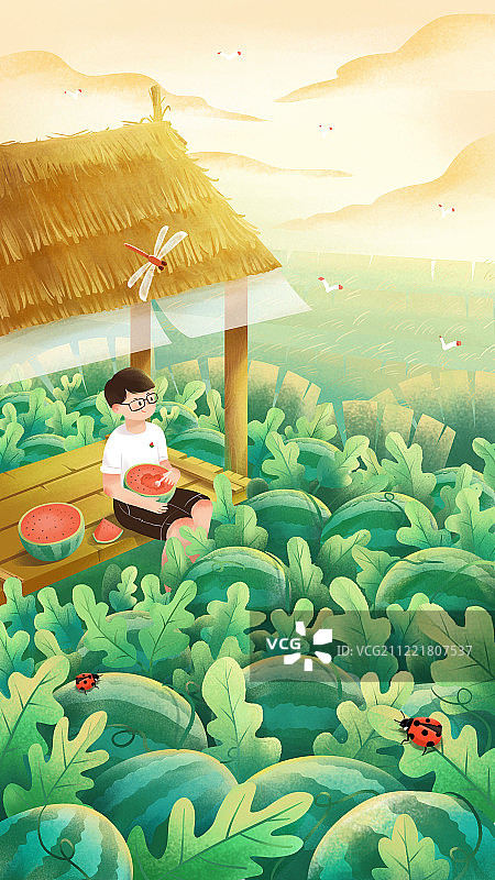 夏天傍晚田野西瓜地里的茅草屋上吃西瓜图片素材