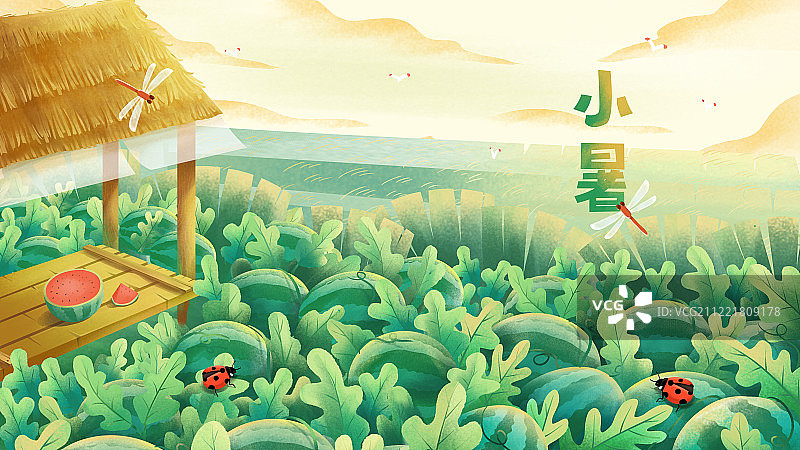 中国传统文化之24节气之夏季 小暑图片素材