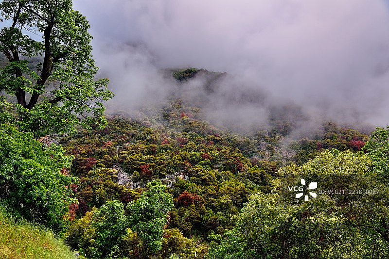 云雾缭绕的山腰图片素材