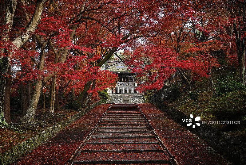 红色阶梯图片素材