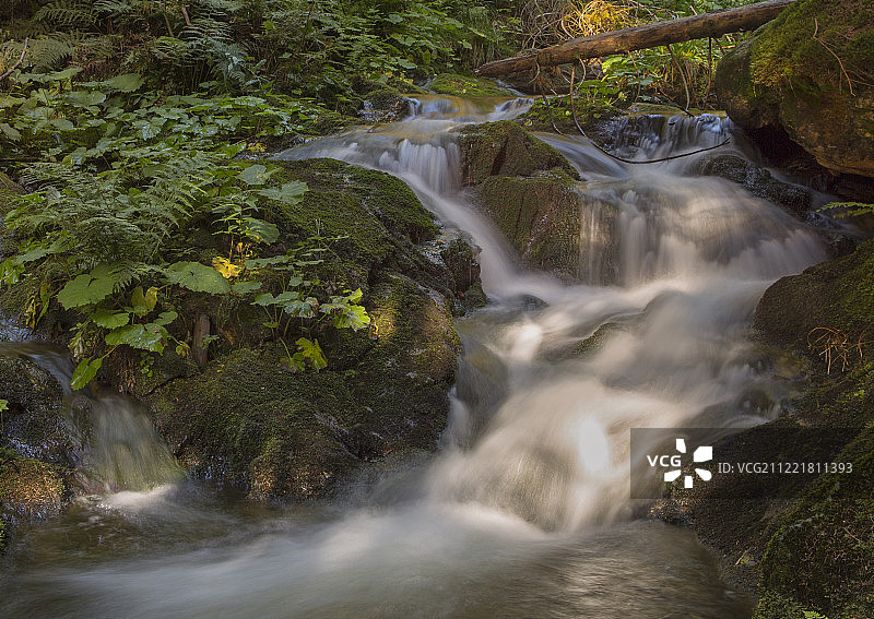 森林瀑布图片素材