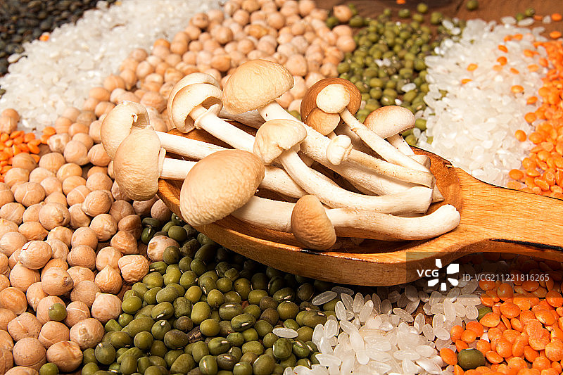 蜜环菌蜂蜜真菌蜜蘑菇食用菌在W图片素材