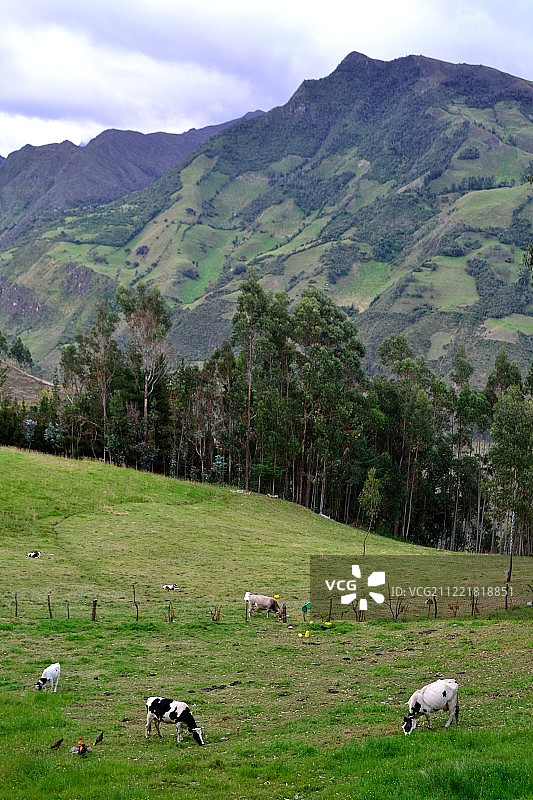 秘鲁万卡班巴图片素材