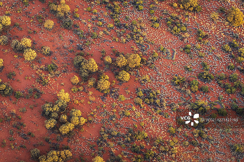 红色中心图片素材