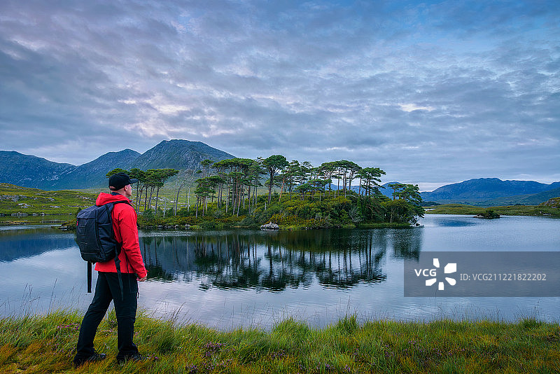 徒步者在爱尔兰的松树岛图片素材