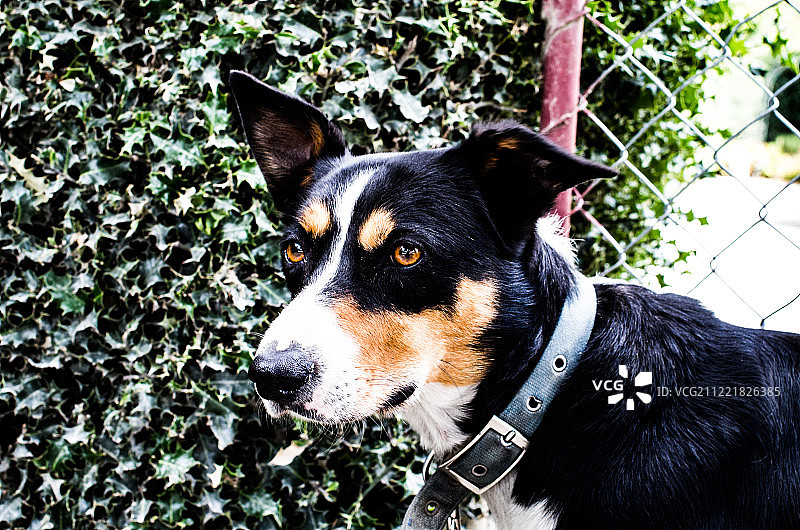 酷炫的男人图片素材