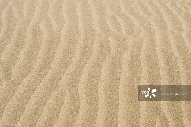 金色沙浪图片素材