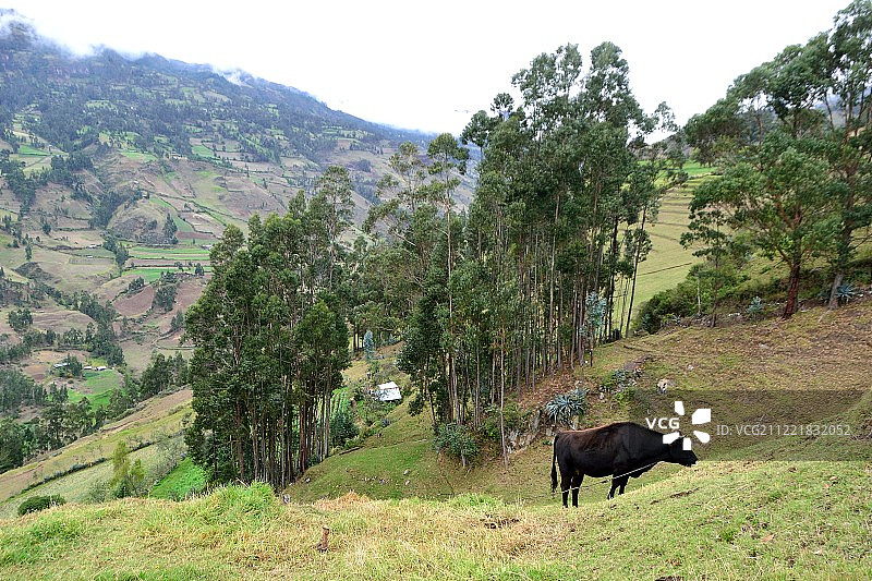 秘鲁万卡班巴图片素材