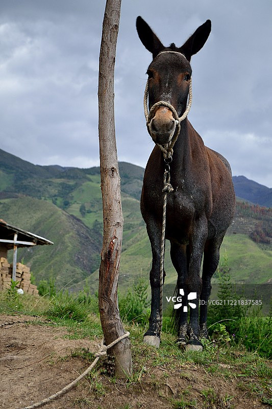 秘鲁万卡班巴图片素材
