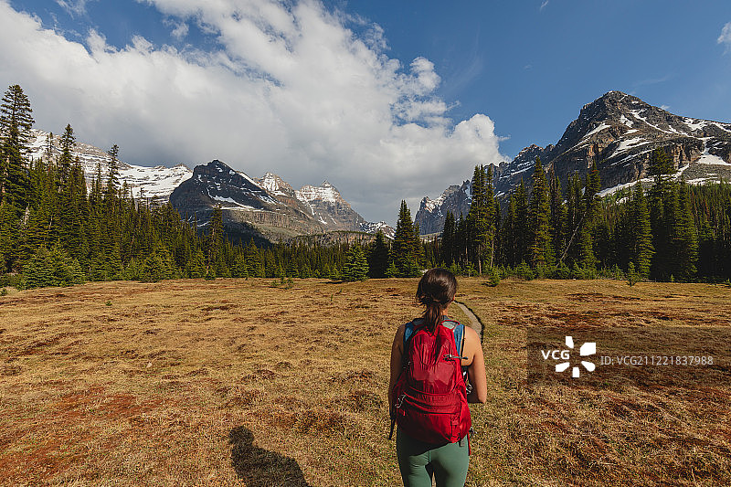 在加拿大落基山脉腹地徒步的女人图片素材