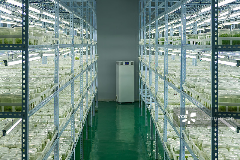 植物克隆基地实验室内部科研场景图片素材