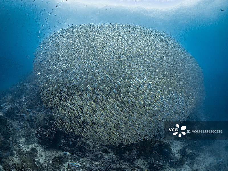 任何道路图片素材