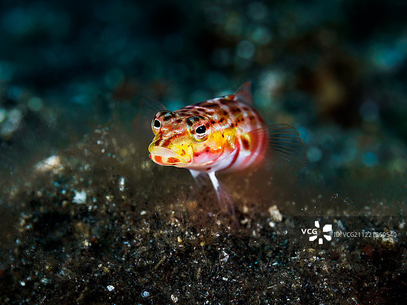 糟糕的一天图片素材