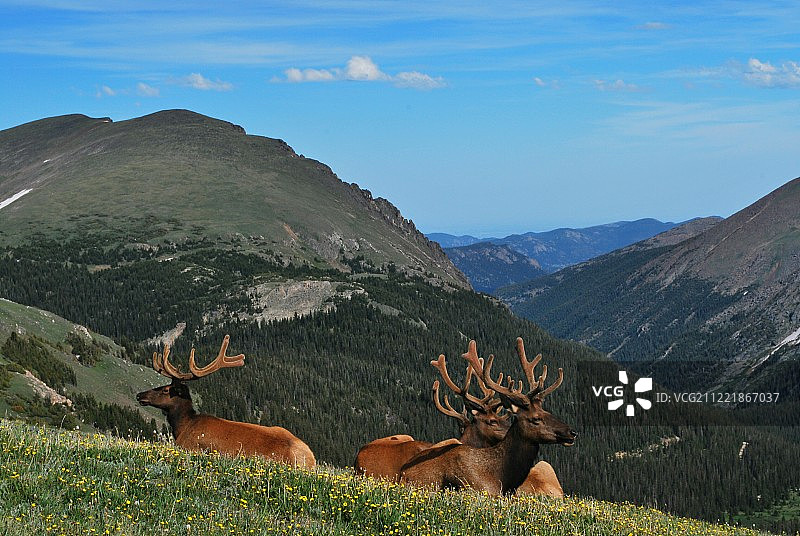 日光浴图片素材