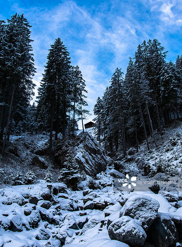 树后的小屋图片素材