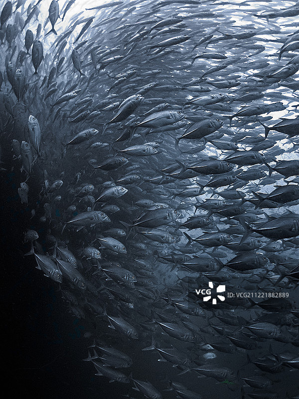 激动剂图片素材