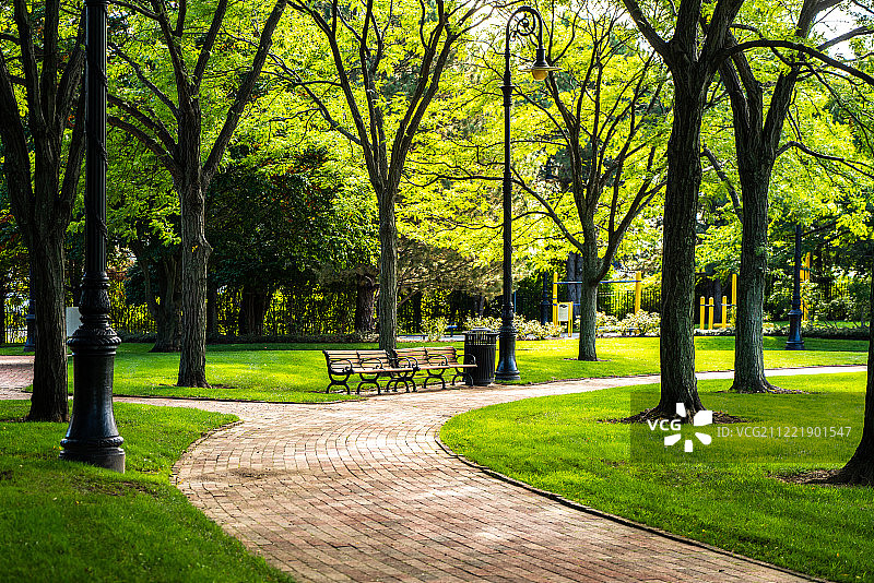 波士顿公园一景图片素材