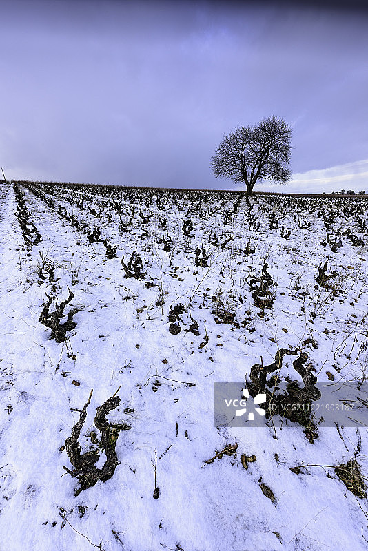 雪地地毯图片素材