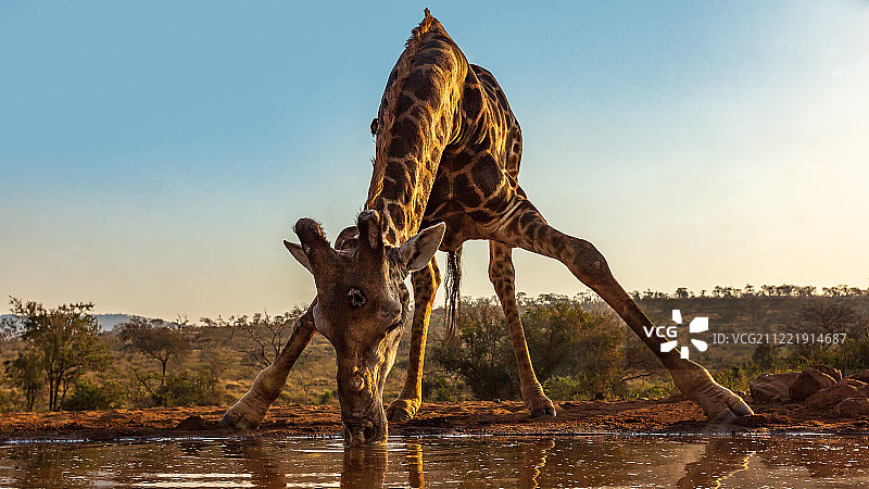 棘手的姿态图片素材