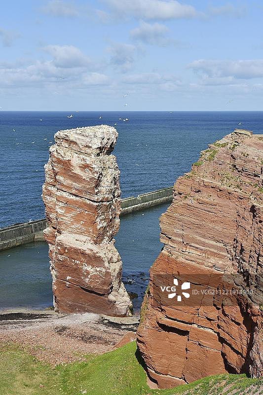 德国黑尔戈兰岛兰格·安娜鸟岩石图片素材