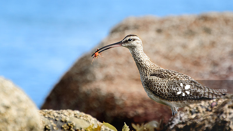 准备吃饭图片素材