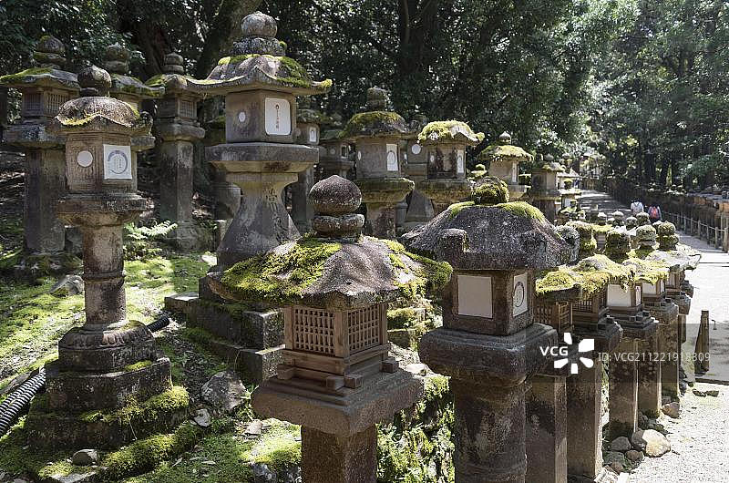 日本奈良春日大社参道上的石灯笼图片素材