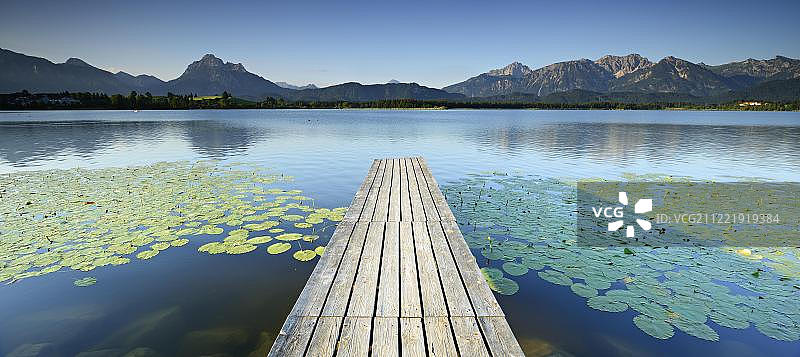 阿尔高阿尔卑斯山霍普芬湖睡莲码头，德国巴伐利亚阿尔高，欧洲图片素材