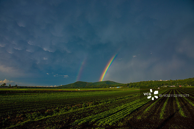 亚当与夏娃图片素材