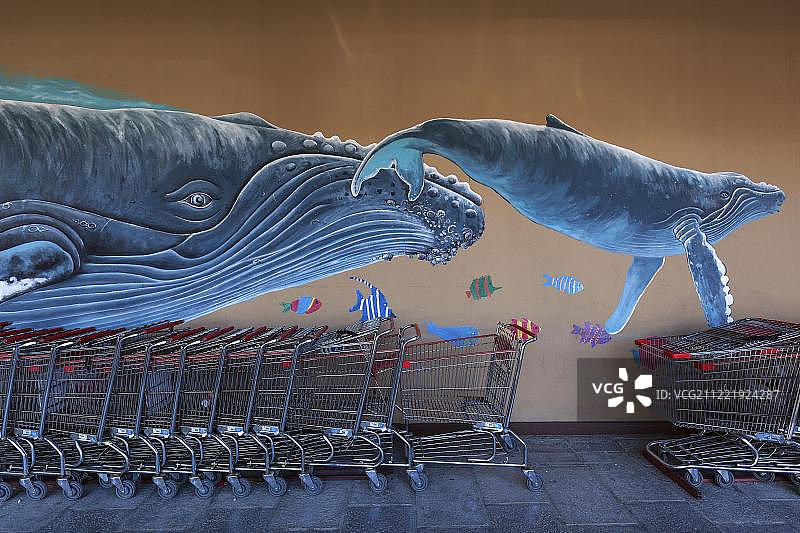 哥斯达黎加涂鸦：座头鲸与幼崽，超市购物车墙图片素材