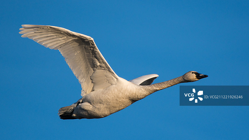 完全展开图片素材