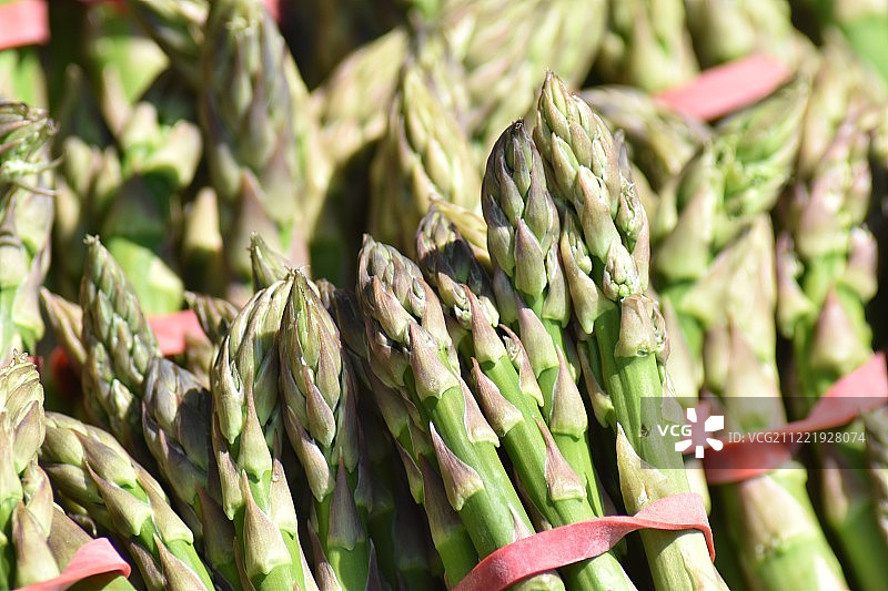 圆形芦笋图片素材