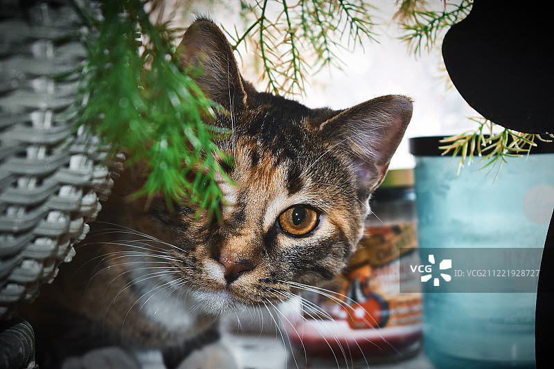 打喷嚏的家伙图片素材